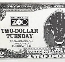 Child Admission | Jackson Zoo
