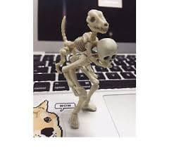 Miniatures Skeleton Figure Skull Pose Adult Collection Scene Accessory Bone Toy | eBay