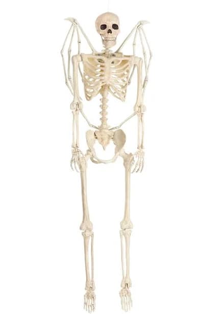 Fun Costumes 5FT Poseable Winged Skeleton Prop Decoration