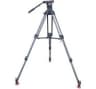 Video frame trigger