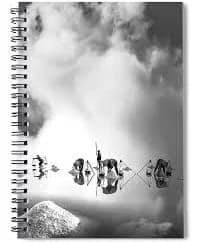 White gold V Spiral Notebook