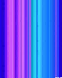 Timeless Treasures Midnight Bloom - Hydrangea Stripes - Lapis Blue