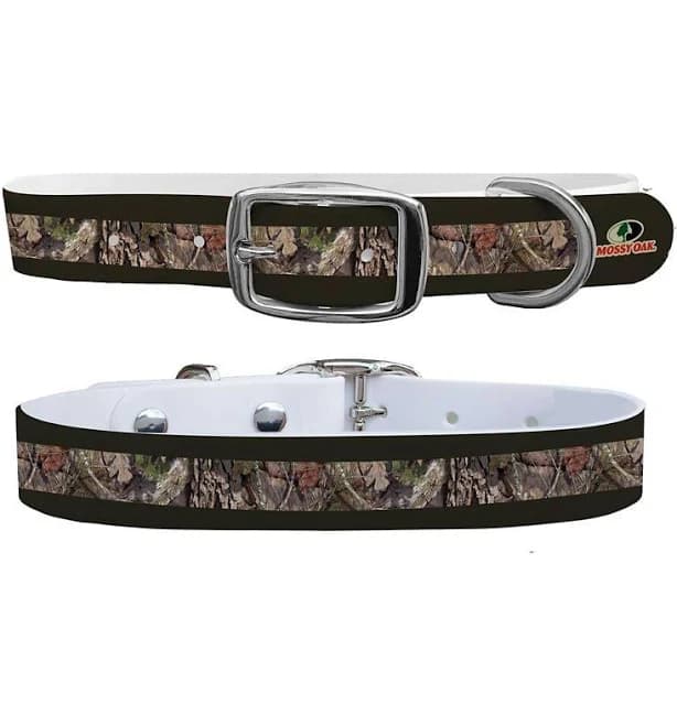 C4 Dog Collar