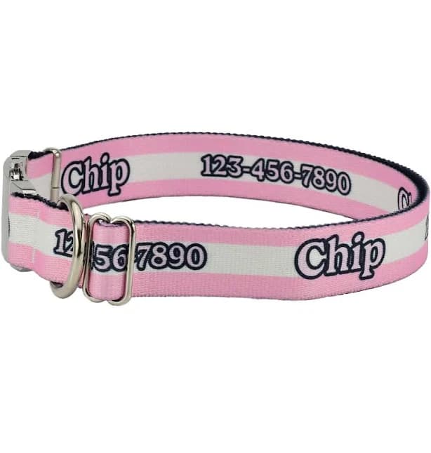 Personalized Light Pink Mighty Stripes Dog Collar