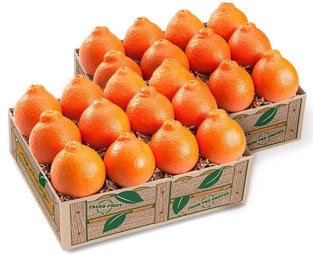 Florida Fruit Company Honeybell Oranges Gift Boxes
