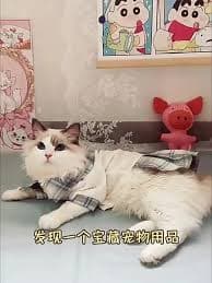 Pet Intelligent Temperature Control Heating Pad, Waterproof Electric Warm Mat with Constant Temperature for Cats and Dogs Winter - AliExpress 15