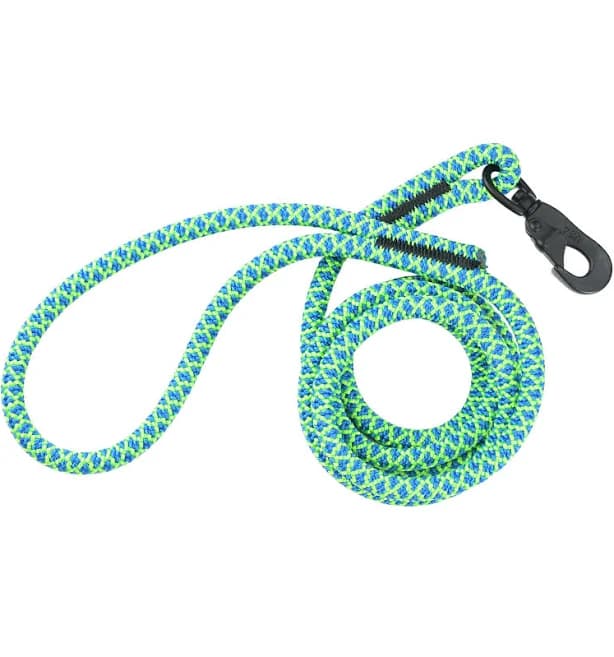Blue/Green Rope Dog Leash