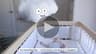 Video frame trigger