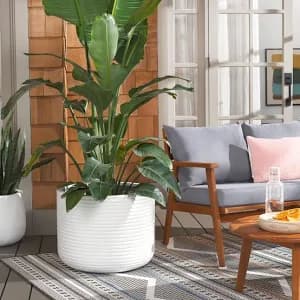 Safavieh Nardo Large Planter Pot
