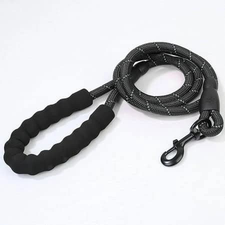 Corelife Reflective Dog Leash