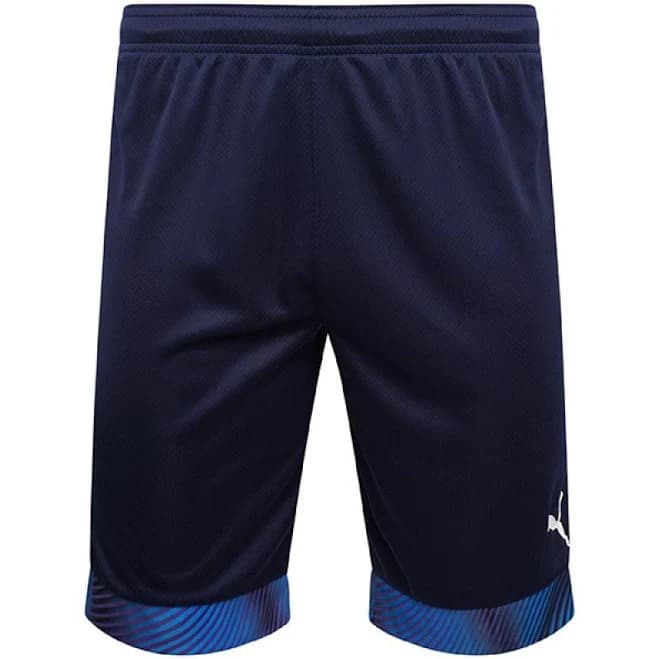 PUMA Mens Cup Shorts