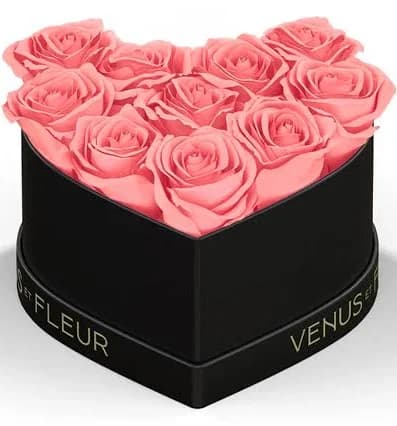 Venus et Fleur Petit Heart Eternity Rose
