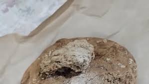 Amazon.com: HTB Spiced Bun 4.4 Oz - 6 Pack : Grocery & Gourmet Food