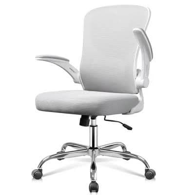 Galaxhero Ergonomic Office Chair