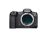 Video frame trigger