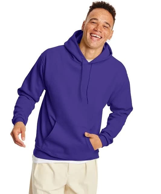 Hanes Men's EcoSmart Hooded Sweatshirt