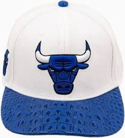 Pro Standard Men's Chicago Bulls Leather Visor Flatbrim Snapback Hat