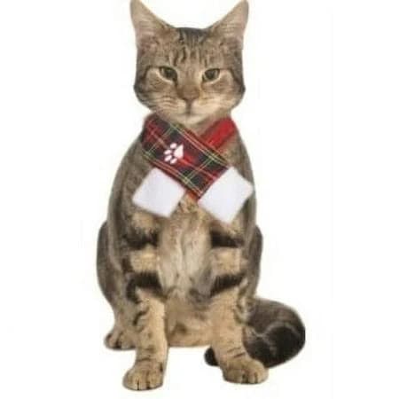 Pet Plaid Christmas Scarf