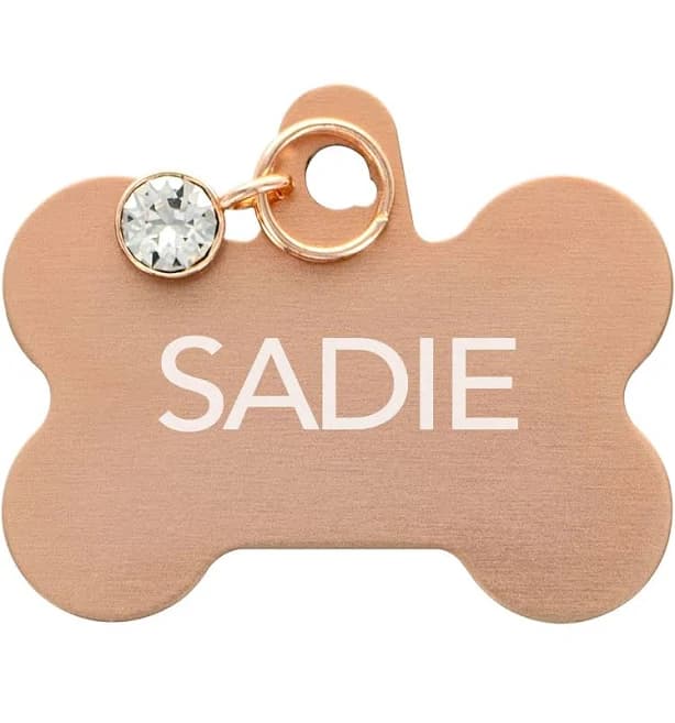 TagWorks Bone with Crystal Charm Personalized Pet ID Tag