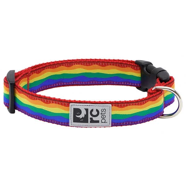 RC Pet Products Buckle Clip Dog Collar