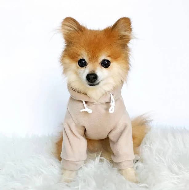 Fleece Sweater Hoodie