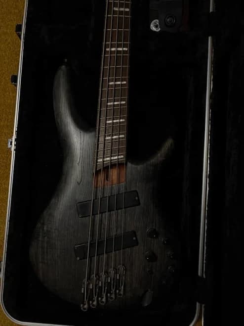 Ibanez SRFF805 Fanned Fret 5-String Electric Bass Guitar