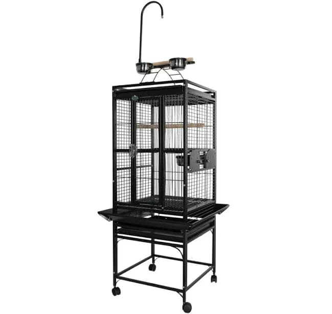Tucker Murphy Pet Chonda 54'' Iron Play Top Floor Bird Cage with Wheels