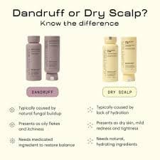 Jupiter Hydrating Shampoo and Conditioner Set – Moisturizing, Nourishing, and Strengthening Hair Care – Daily Scalp & Hair Hydration – Color-Safe, Sulfate-Free, Paraben-Free, 9.5 fl. oz. each : Amazon.ae: Beauty