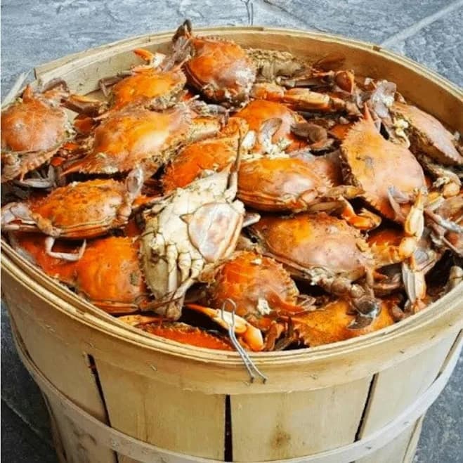 Cameron's Seafood - Standard Female Maryland Blue Crabs