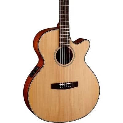 Cort SFX-E Acoustic Guitar