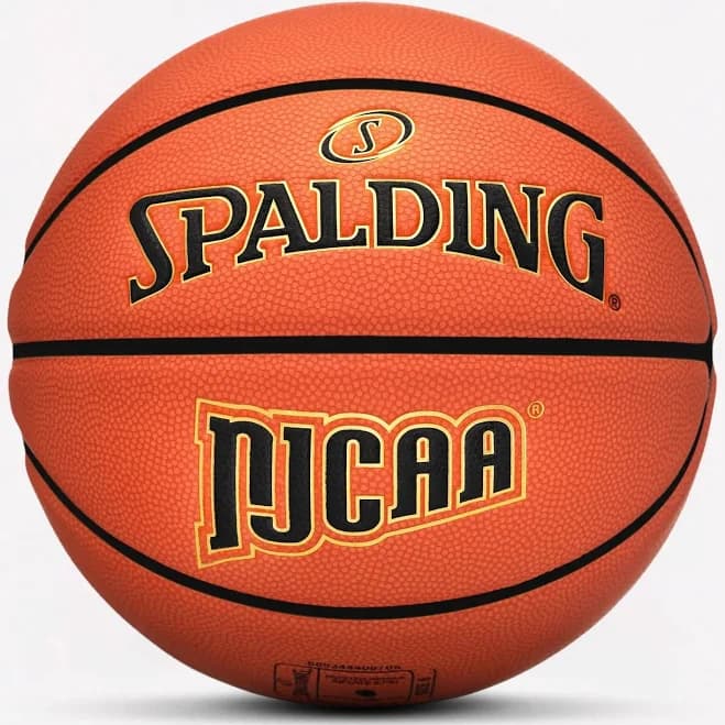 Legacy TF1000 Indoor Game Basketball