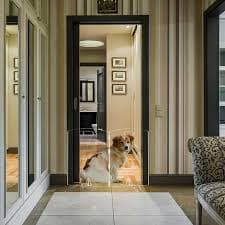 Clear freestanding Dog gate for Indoor use,Pet Gates for doorways no Drilling,Acrylic Foldable Dog gate for Stairs with Support feet (2 Panel - 40''W x 23''H) - Walmart.com