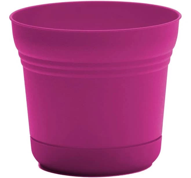 Ebern Designs Saturn Traditional Plastic Indoor/Outdoor Round Planter with Saucer