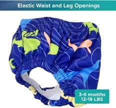 Aqua-Leisure Kids' SplashGuard Shark Reusable Swim Diaper | Academy
