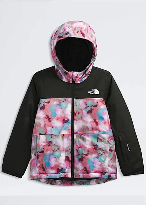 The North Face Freedom Insulated Print Toddlers' Jacket