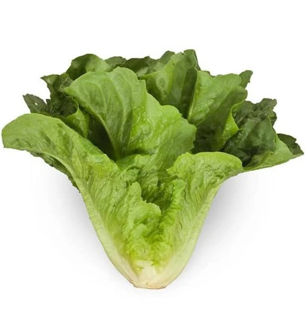 Organic Romaine Lettuce, 1 Each