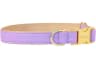 Video frame trigger