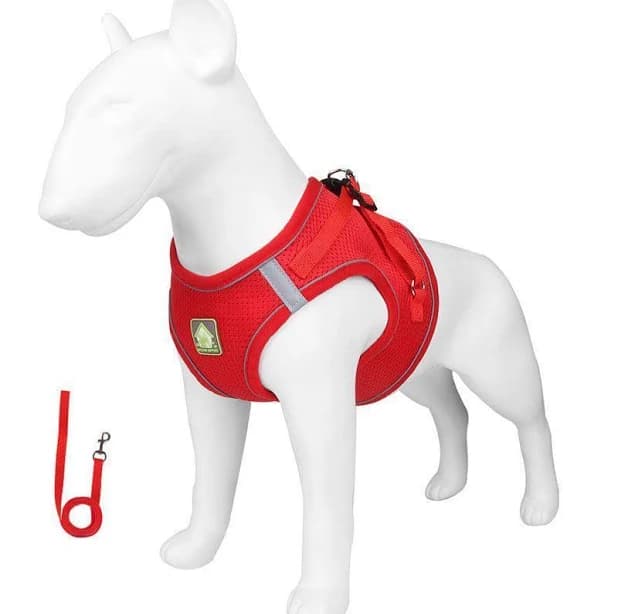Basic Cat Harness Escape Proof 4 Color Leash Set