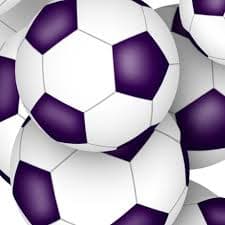 school or sports club colors purple white soccer balls pattern Fabric |...
