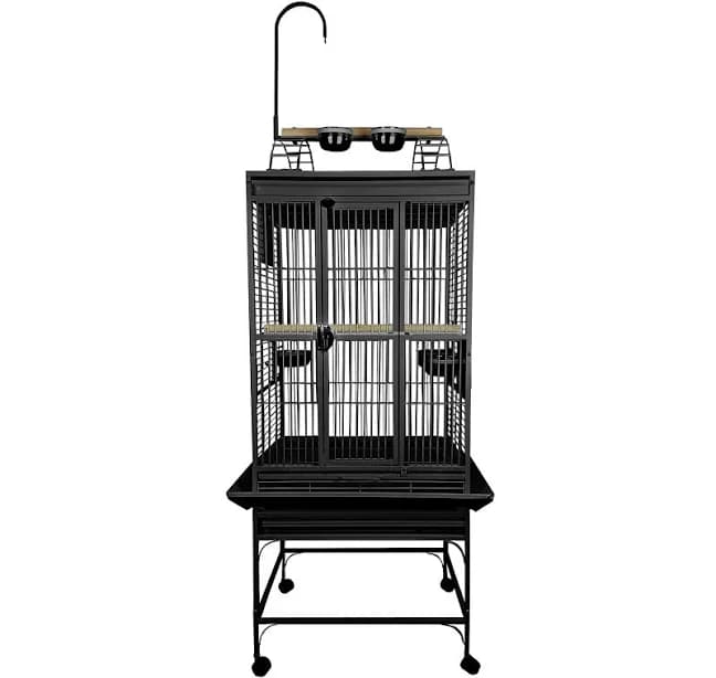 A&E Cage Company Play Top Bird Cage