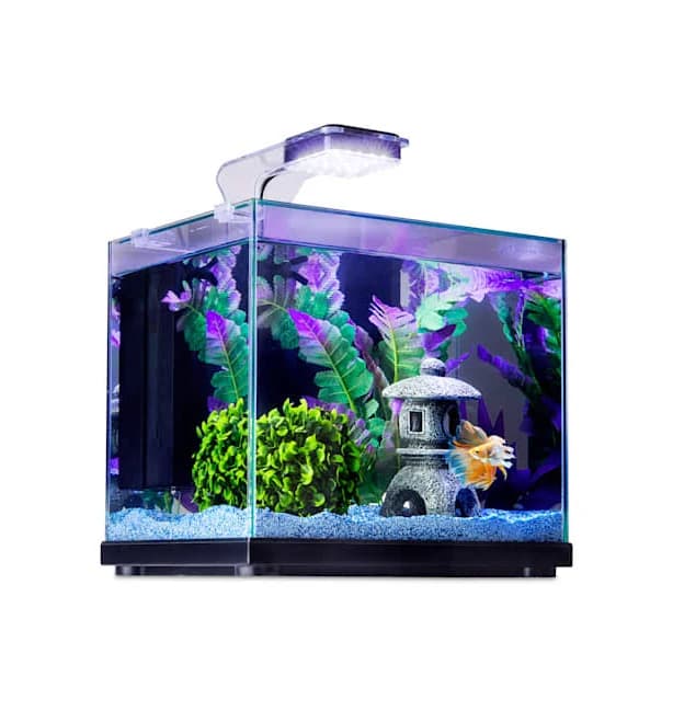 Imagitarium Glass Versa Aquarium