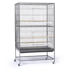 Prevue Pet Wrought Iron Flight Cage