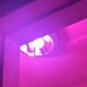 Video frame trigger