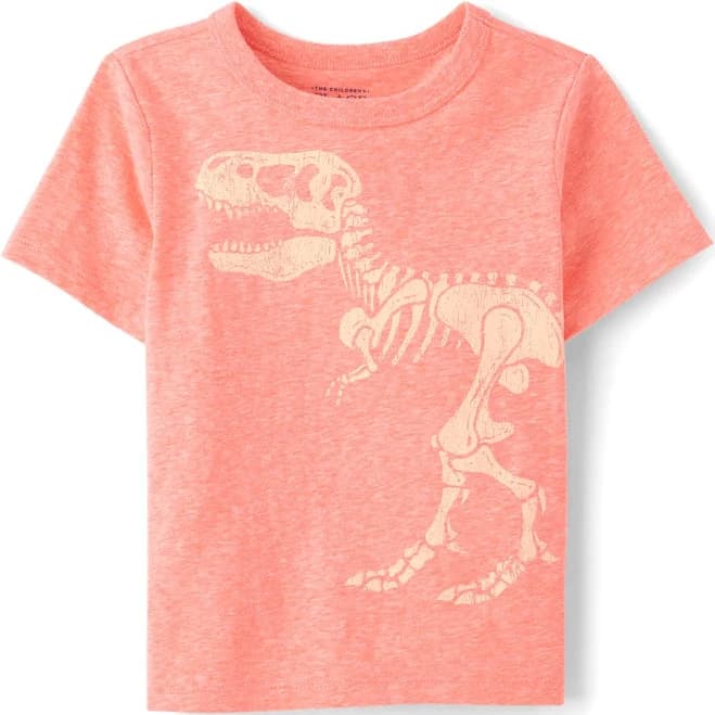 The Children's Place Baby and Toddler Boys Marled Dino Graphic T-Shirt