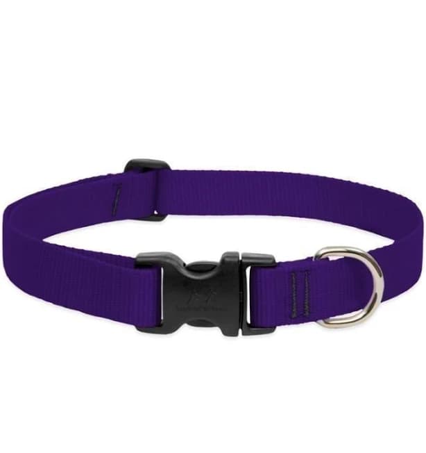 Lupine Adjustable Dog Collar