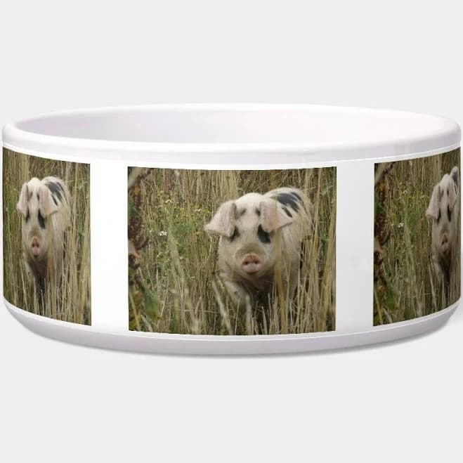 Cute Pig Pet Bowl
