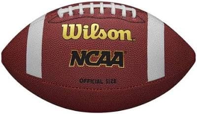 Wilson NCAA Composite Football