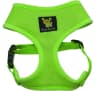 Video frame trigger