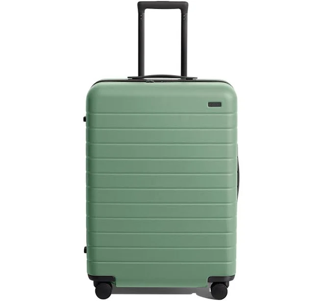 Away The Medium Checked Suitcase