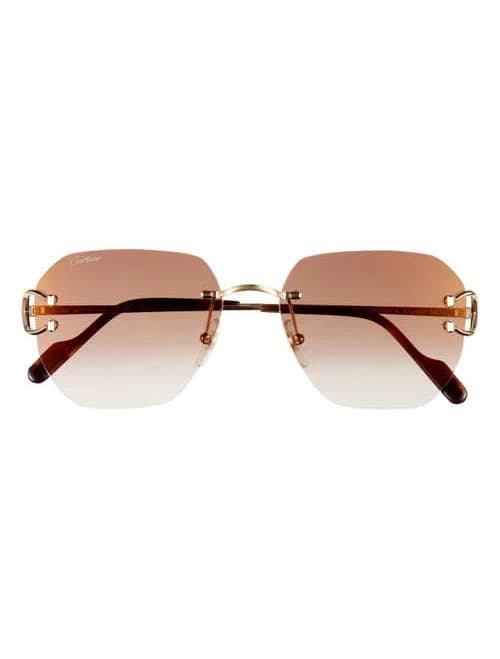 Cartier CT0394S Sunglasses